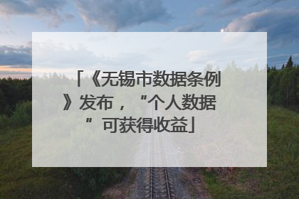 《无锡市数据条例》发布，“个人数据”可获得收益
