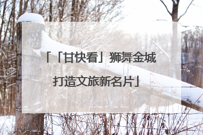 「甘快看」狮舞金城 打造文旅新名片