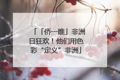 「侨一瞧」非洲日狂欢！他们用色彩“定义”非洲