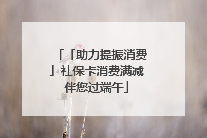 「助力提振消费」社保卡消费满减伴您过端午
