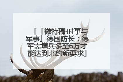 「微特稿·时事与军事」德国防长：德军需增兵多至6万才能达到北约新要求
