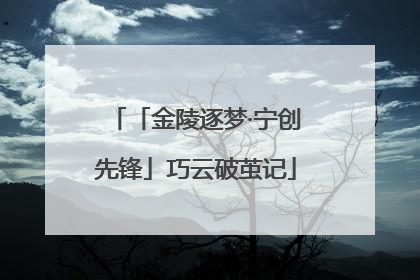 「金陵逐梦·宁创先锋」巧云破茧记