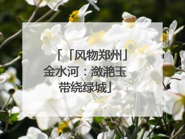 「风物郑州」金水河：潋滟玉带绕绿城