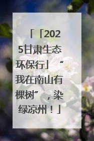 「2025甘肃生态环保行」“我在南山有棵树”，染绿凉州！