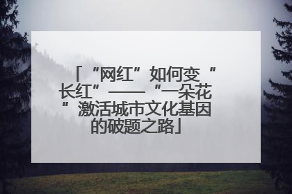 “网红”如何变“长红”——“一朵花”激活城市文化基因的破题之路