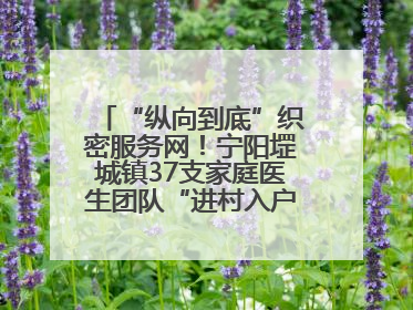 “纵向到底”织密服务网！宁阳堽城镇37支家庭医生团队“进村入户”，让健康政策“落地生根”