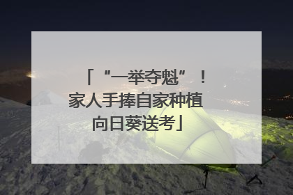 “一举夺魁”！家人手捧自家种植向日葵送考