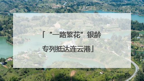 “一路繁花”银龄专列抵达连云港