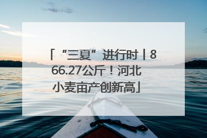 “三夏”进行时丨866.27公斤！河北小麦亩产创新高