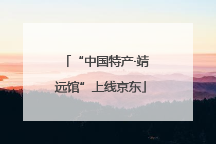 “中国特产·靖远馆”上线京东