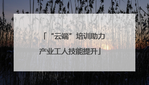 “云端”培训助力产业工人技能提升