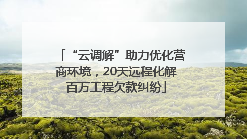 “云调解”助力优化营商环境，20天远程化解百万工程欠款纠纷