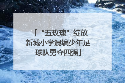 “五玫瑰”绽放 新城小学混编少年足球队勇夺四强