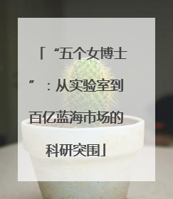 “五个女博士”：从实验室到百亿蓝海市场的科研突围