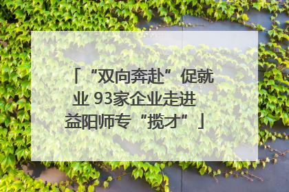 “双向奔赴”促就业 93家企业走进益阳师专“揽才”