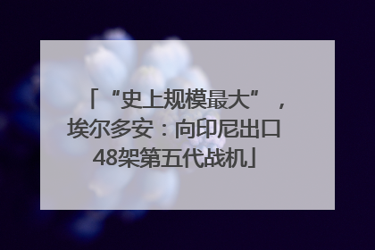 “史上规模最大”，埃尔多安：向印尼出口48架第五代战机
