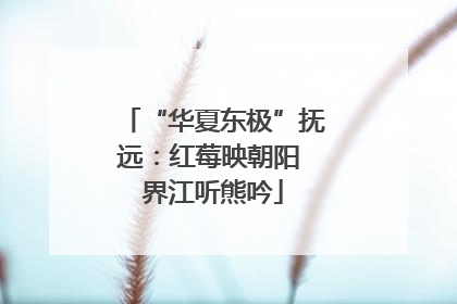 “华夏东极”抚远：红莓映朝阳 界江听熊吟