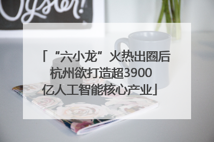 “六小龙”火热出圈后 杭州欲打造超3900亿人工智能核心产业