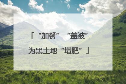 “加餐”“盖被” 为黑土地“增肥”