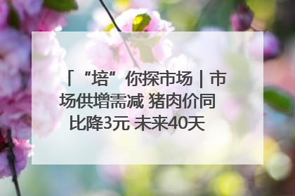 “培”你探市场｜市场供增需减 猪肉价同比降3元 未来40天便宜猪肉敞开吃