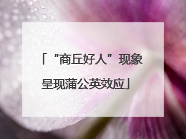 “商丘好人”现象呈现蒲公英效应