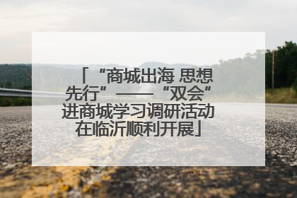 “商城出海 思想先行”——“双会”进商城学习调研活动在临沂顺利开展