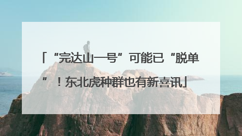 “完达山一号”可能已“脱单”！东北虎种群也有新喜讯