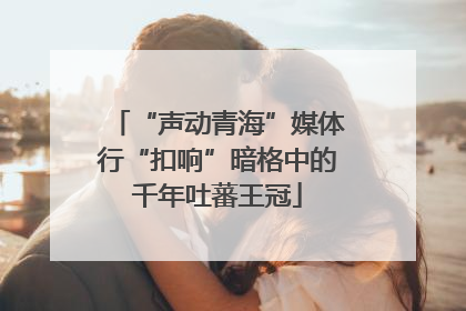 “声动青海”媒体行“扣响”暗格中的千年吐蕃王冠