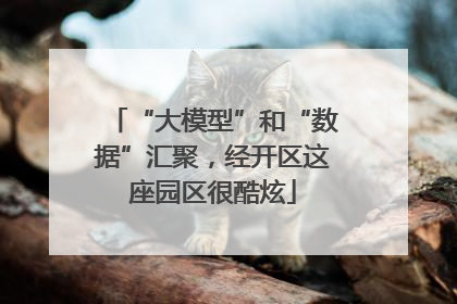 “大模型”和“数据”汇聚，经开区这座园区很酷炫