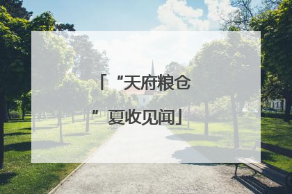 “天府粮仓”夏收见闻