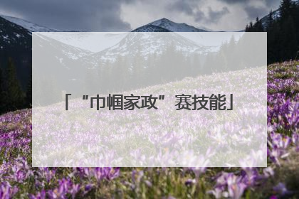 “巾帼家政”赛技能