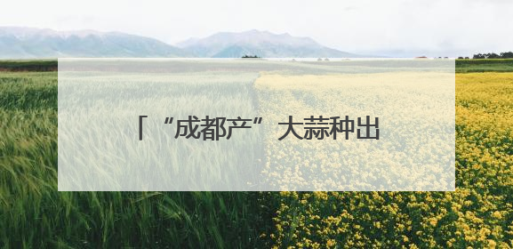 “成都产”大蒜种出超2亿元产值，远销欧洲、非洲、东南亚