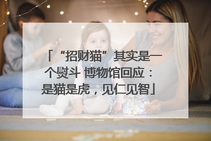 “招财猫”其实是一个熨斗 博物馆回应：是猫是虎，见仁见智