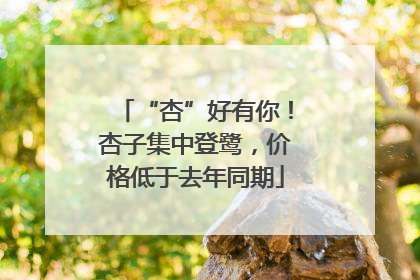 “杏”好有你！杏子集中登鹭，价格低于去年同期