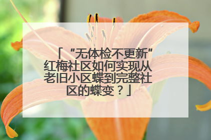 “无体检不更新”红梅社区如何实现从老旧小区蝶到完整社区的蝶变？