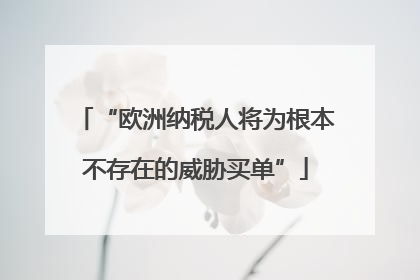 “欧洲纳税人将为根本不存在的威胁买单”