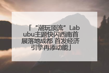 “潮玩顶流”Labubu主题快闪西南首展落地成都 首发经济引擎再添动能
