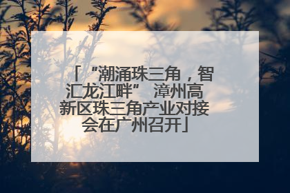 “潮涌珠三角，智汇龙江畔” 漳州高新区珠三角产业对接会在广州召开