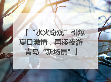 “水火奇观”引爆夏日激情，再添夜游青岛“新场景”