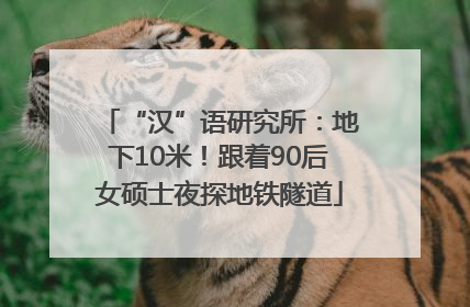 “汉”语研究所：地下10米！跟着90后女硕士夜探地铁隧道