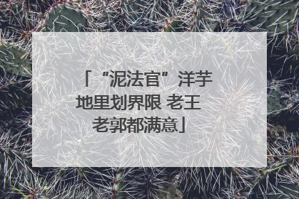 “泥法官”洋芋地里划界限 老王老郭都满意