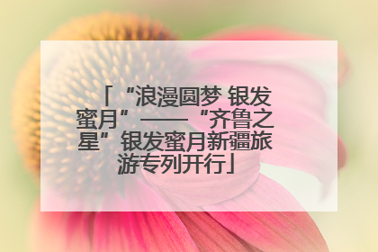 “浪漫圆梦 银发蜜月”——“齐鲁之星”银发蜜月新疆旅游专列开行
