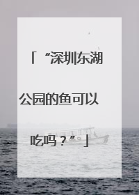 “深圳东湖公园的鱼可以吃吗？”