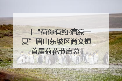 “荷你有约·清凉一夏”眉山东坡区尚义镇首届荷花节启幕