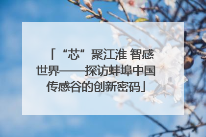 “芯”聚江淮 智感世界——探访蚌埠中国传感谷的创新密码