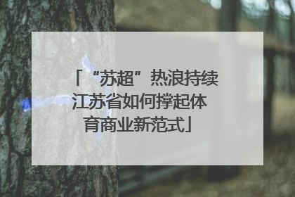 “苏超”热浪持续 江苏省如何撑起体育商业新范式
