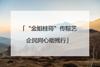 “金姐桂哥”传粽艺 企民同心助残行