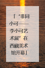 “非同小可——李小可艺术展”在西藏美术馆开幕