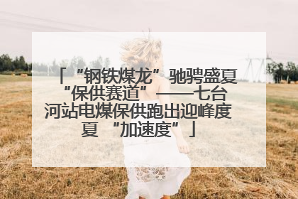 “钢铁煤龙”驰骋盛夏 “保供赛道”——七台河站电煤保供跑出迎峰度夏 “加速度”