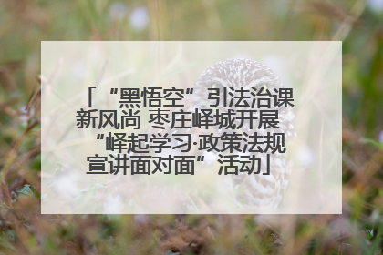 “黑悟空”引法治课新风尚 枣庄峄城开展“峄起学习·政策法规宣讲面对面”活动